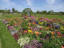 Landesgartenschau Neuenburg: Cubikon-Garten