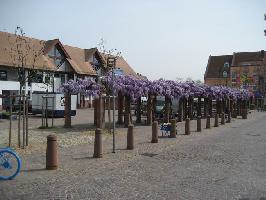 Marktplatz Neuenburg