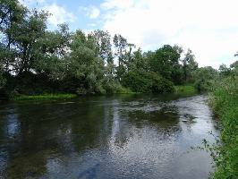 Altrhein am Auen-Wildnispfad Neuried