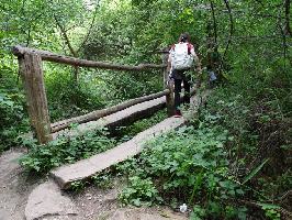 Auen-Wildnispfad Neuried: Holzbrcke