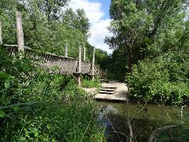 Auen-Wildnispfad Neuried: Ostblick Lehnerrheinbrcke