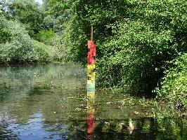 Pegellatte am Auen-Wildnispfad Neuried