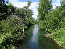 Auen-Wildnispfad Neuried: Altrhein beim Rastplatz