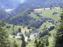 Dobelweiher in Hofsgrund