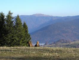 Schauinsland Feldbergblick