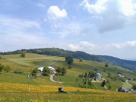 Schauinsland Hofsgrund