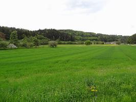 Ried Owingen