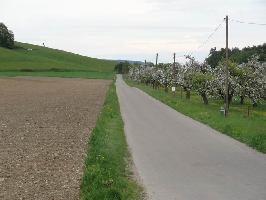 Landwirtschaftsweg Urzenreute