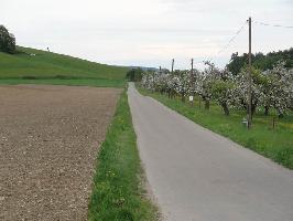 Landwirtschaftsweg