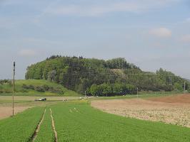 Wieseleberg