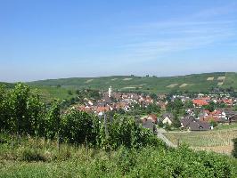 Gewann Afrika: Blick Batzenberg Pfaffenweiler