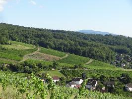 uerer Berg: Blick Ettenberg Pfaffenweiler