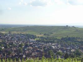 uerer Berg: Blick Batzenberg Pfaffenweiler