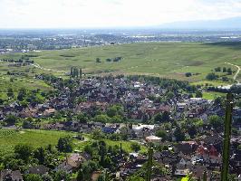 Batzenberg » Bild 32