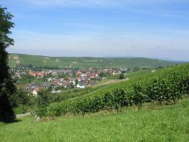 Ettenberg Pfaffenweiler: Blick Batzenberg