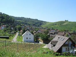 Ettenberg Pfaffenweiler: Blick nach Sden