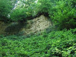 Historische Steinbrche Pfaffenweiler