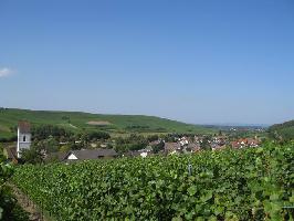 Batzenberg » Bild 26