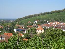 Kirchhofer Berg: Blick Rathaus