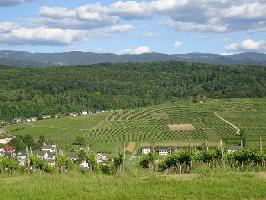 Weinlage Batzenberg: stlicher Bereich