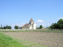 Reichenau - Insel  im Bodensee » Bild 6