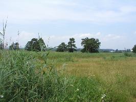 Reichenau - Insel  im Bodensee » Bild 21