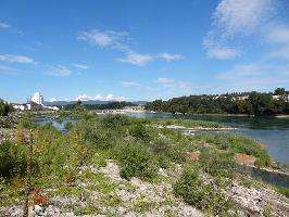 Gwild-Biotop Rheinfelden