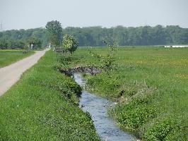 Wassergrben Elzwiesen