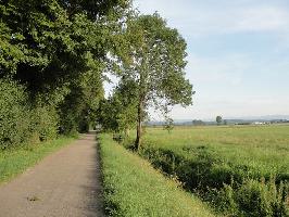 Wirtschaftsweg Feindschieen