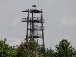 Naturzentrum Rheinauen. Aussichtsturm