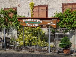 Taubergiessenfahrten