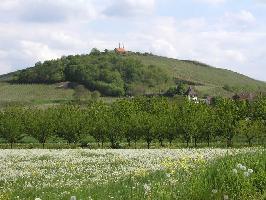 Kaiserstuhl » Bild 55