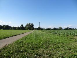 Altgraben Wolfenweiler: Nordblick