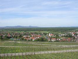 Batzenberg Schallstadt: Blick Kaisersuhl