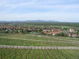 Batzenberg  Schallstadt: Blick Schallstadt