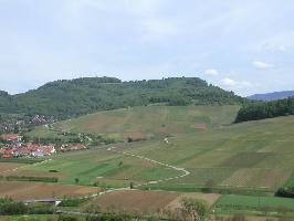 Batzenberg bei Schallstadt: Schnberg