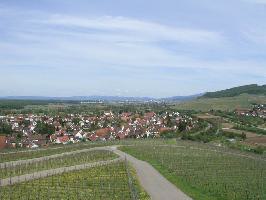 Batzenberg Schallstadt: Wolfenweiler