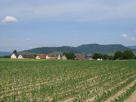 Schallstadt » Bild 1