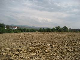 Fhrenschallstadt: Blick Belchen