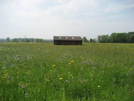 Elzmattengraben Fhrenschallstadt