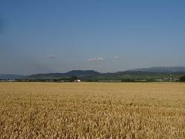 Hospelsbuck Mengen: Schnberg