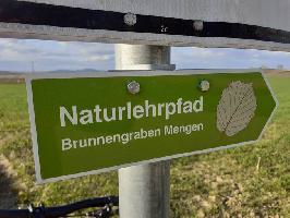 Naturlehrpfad Brunnengraben Mengen