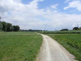 Bodensee-Radweg Riedstrae Gottlieben