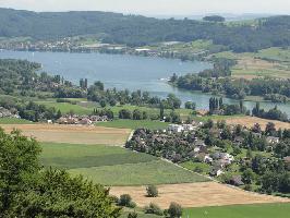 Burg Hohenklingen Blick Untersee