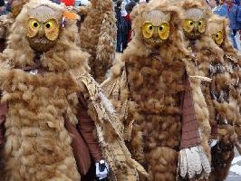 Schwbisch-alemannische Fasnet » Bild 50