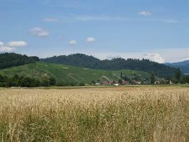 Vordersexau: Blick Buchholzer Sonnhalde