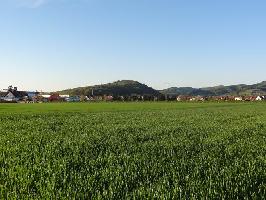 Vordersexau: Blick Hornwald