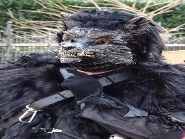 Maske Jagdhund Gfll-Hexen Simonswald