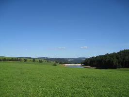 Platte im Schwarzwald