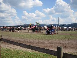 Rofest St. Mrgen